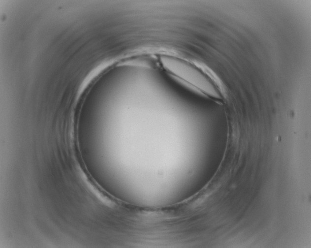 X0000083060894200702232018