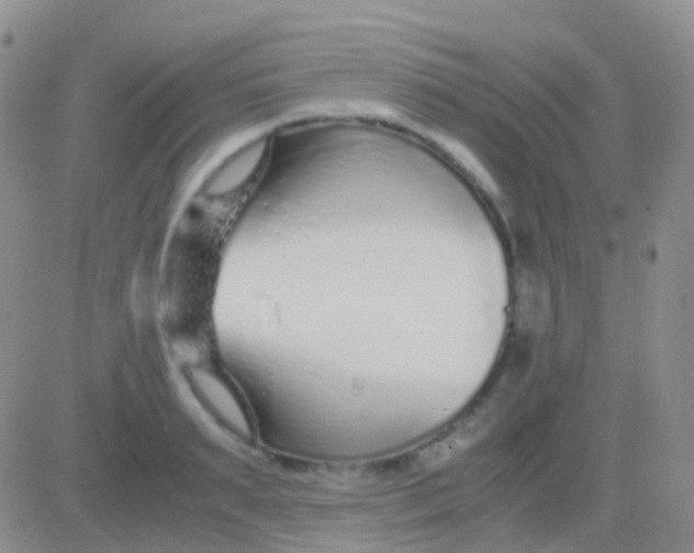 X0000083060895200702232018