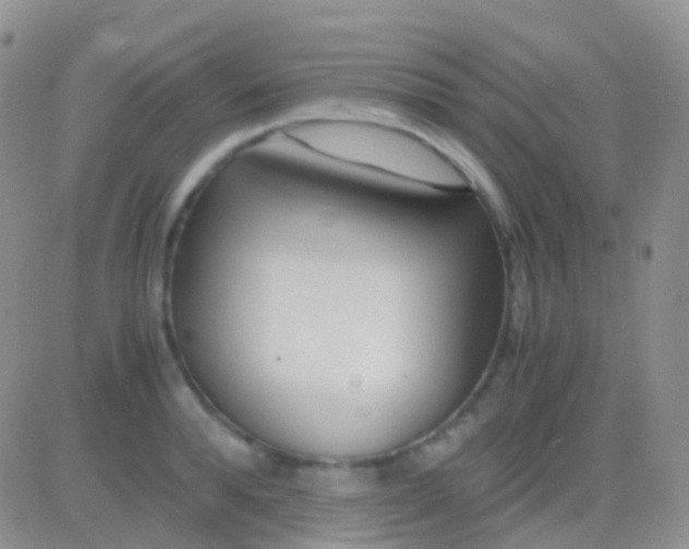 X0000083060896200702232018