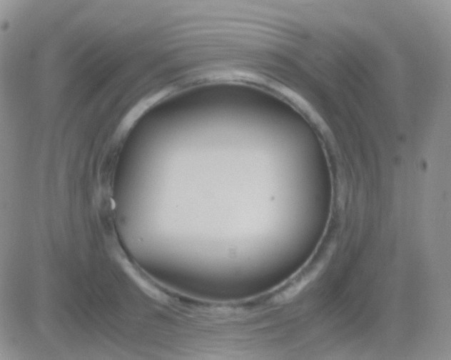 X0000083060897200702232018