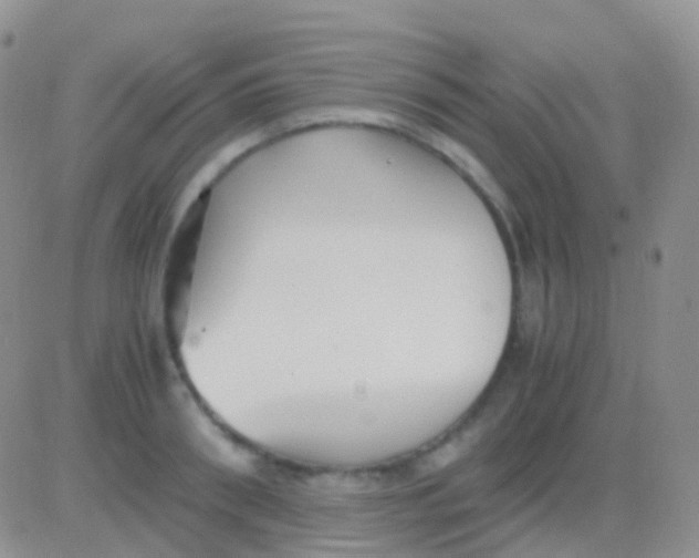 X0000083060898200702232018