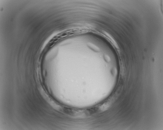 X0000083060899200702232018