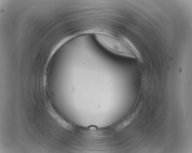 X0000083060900200702232018