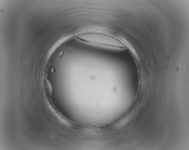 X0000083060901200702232018