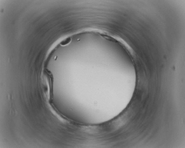 X0000083060902200702232018