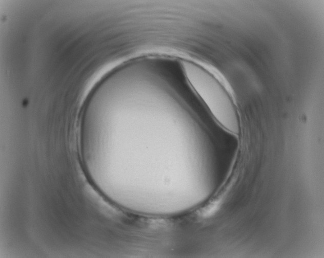 X0000083060903200702232018