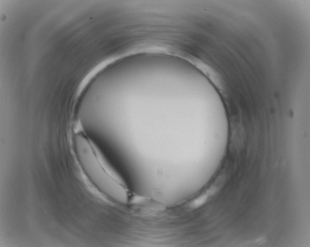 X0000083060904200702232018