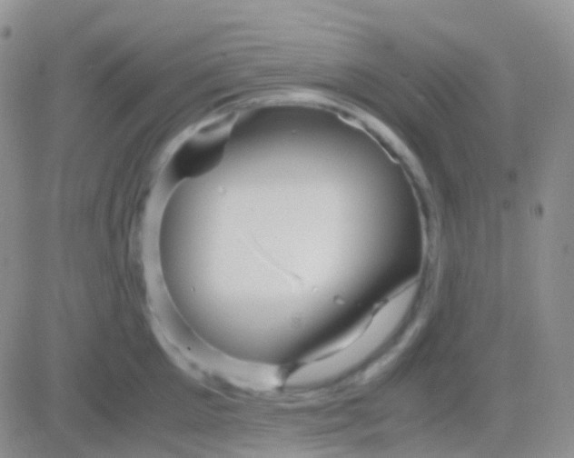 X0000083060905200702232018