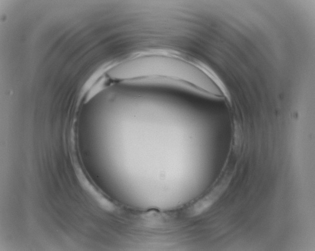 X0000083060906200702232018