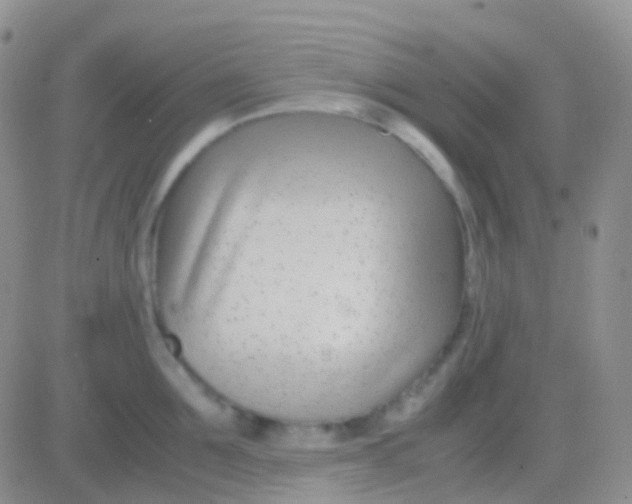 X0000083060907200702232018