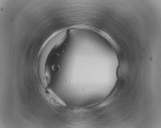 X0000083060908200702232018