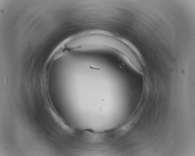 X0000083060910200702232018