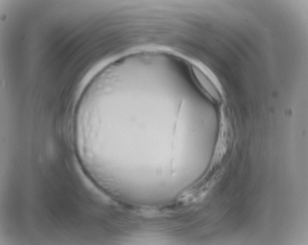 X0000083060911200702232018