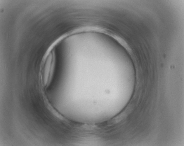 X0000083060912200702232018