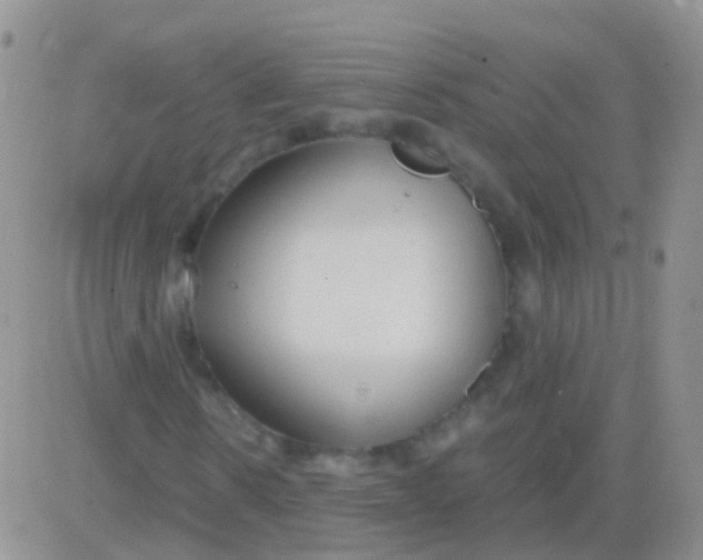 X0000083060914200702232017