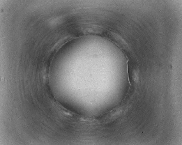 X0000083060915200702232017