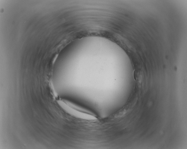 X0000083060916200702232017