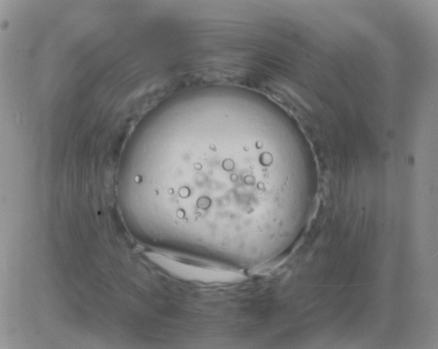 X0000083060917200702232017