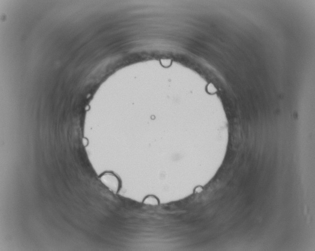 X0000083060918200702232017