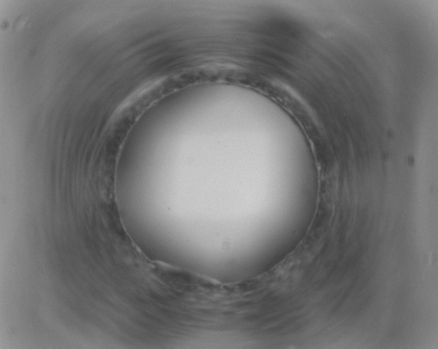 X0000083060919200702232017