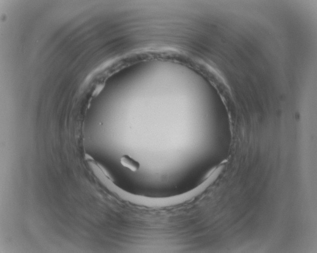 X0000083060920200702232017