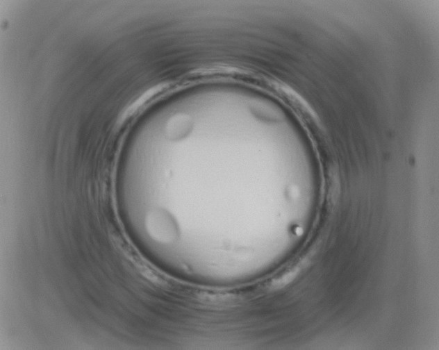 X0000083060921200702232017