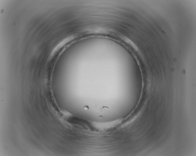 X0000083060922200702232017