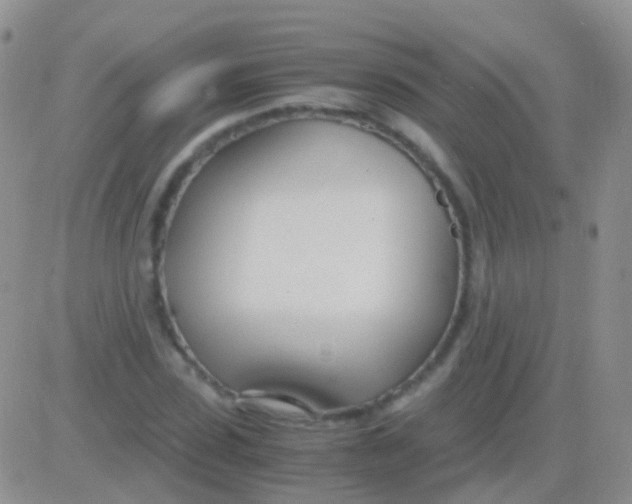 X0000083060923200702232017