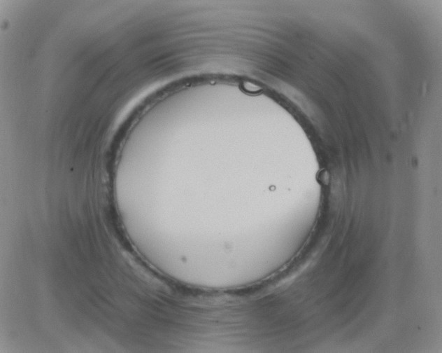 X0000083060926200702232017