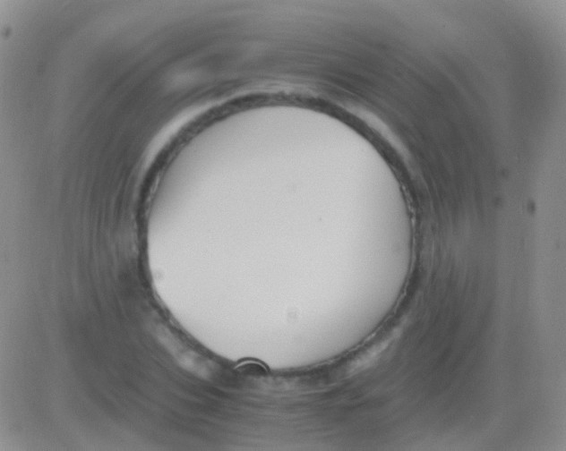 X0000083060927200702232017