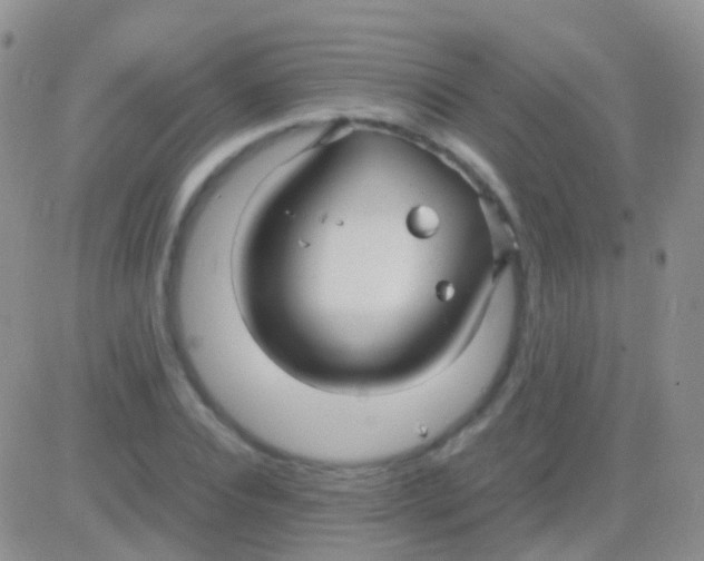 X0000083060928200702232017