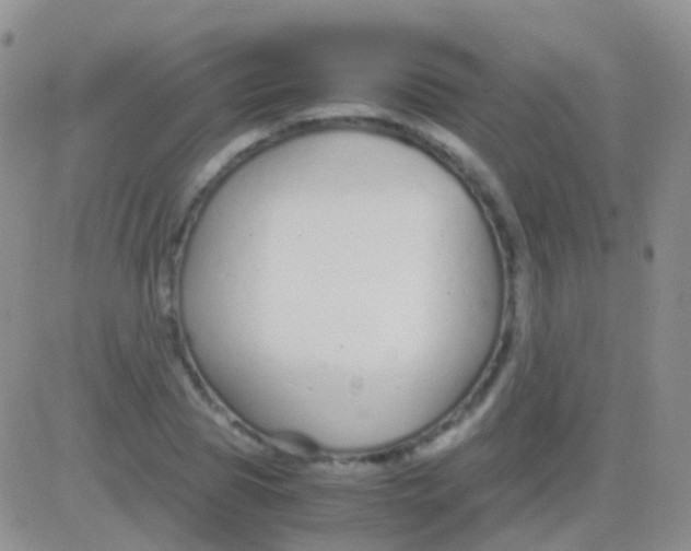 X0000083060929200702232017