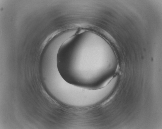 X0000083060930200702232017