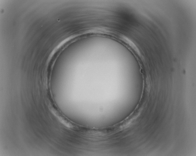 X0000083060931200702232017