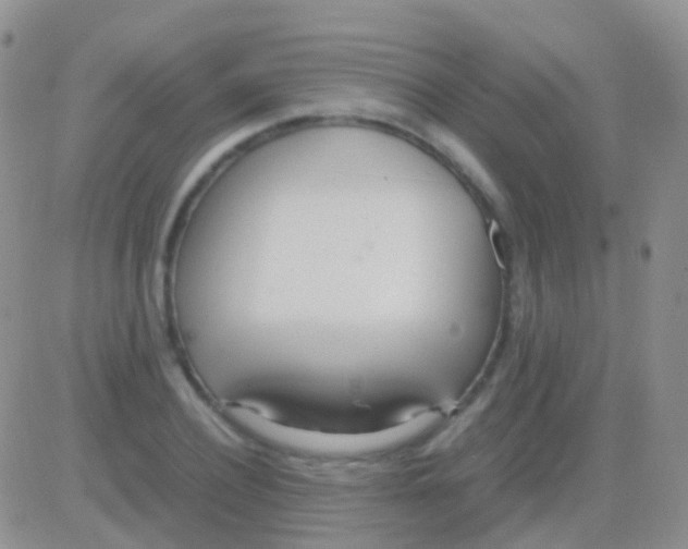 X0000083060932200702232017