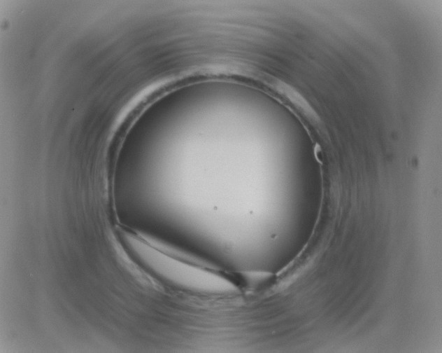 X0000083060934200702232017