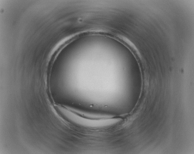 X0000083060935200702232017