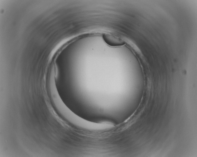 X0000083060936200702232017