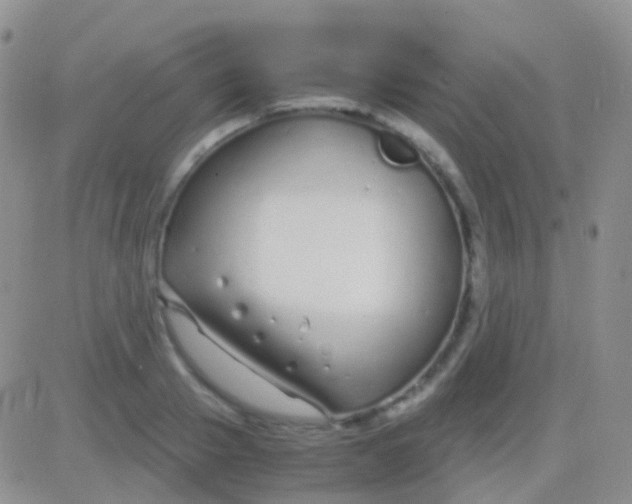 X0000083060937200702232017