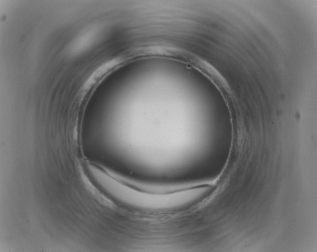 X0000083060938200702232017