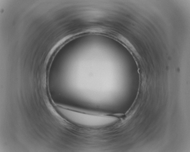 X0000083060939200702232017