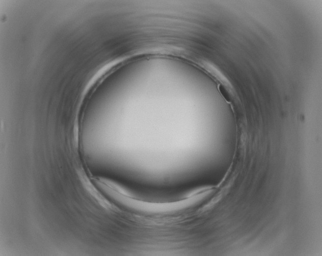 X0000083060940200702232017