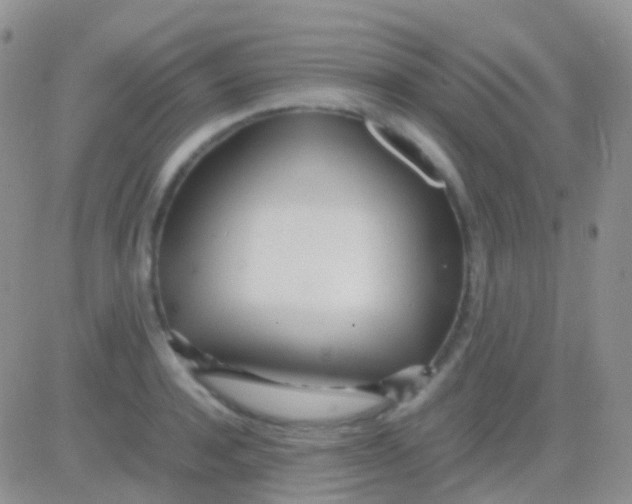 X0000083060944200702232017