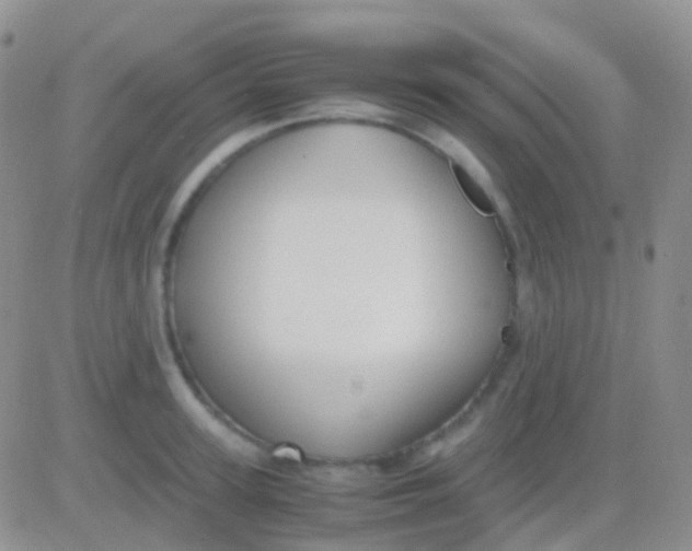 X0000083060947200702232018