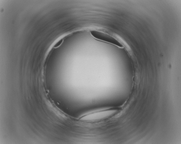 X0000083060948200702232018