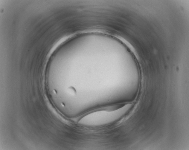 X0000083060949200702232018