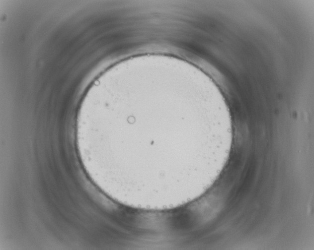 X0000083060950200702232018