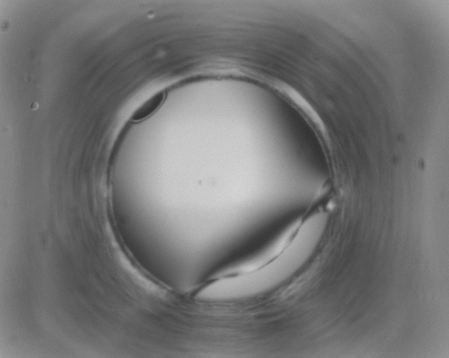 X0000083060951200702232018