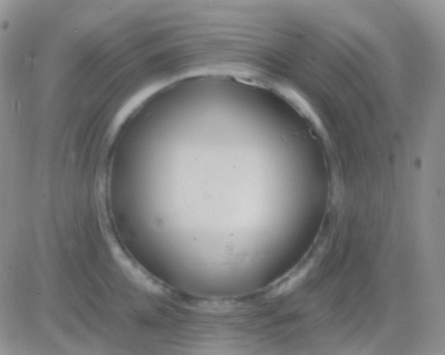 X0000083060952200702232018