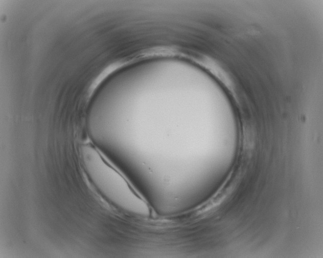 X0000083060953200702232018